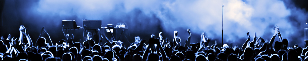 crowd-at-concert